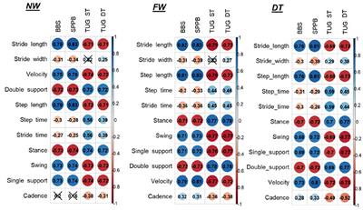 Useful outcome measures in INPH patients evaluation